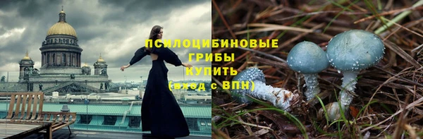 прущий лед Алзамай