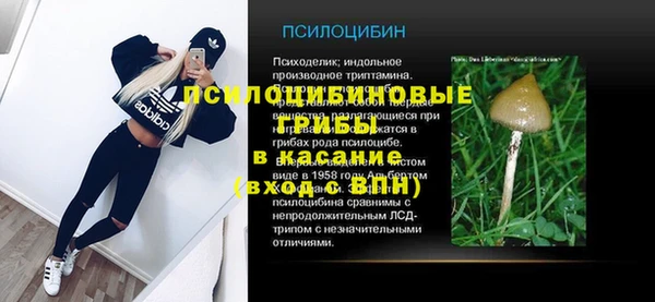 прущий лед Алзамай