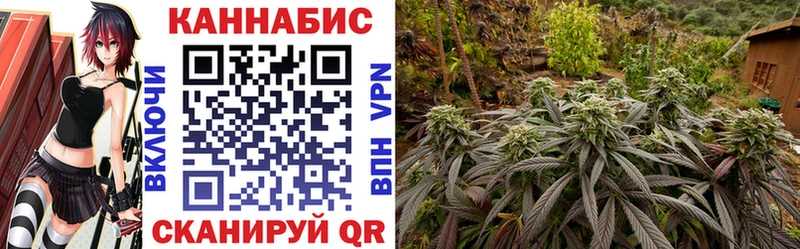 Бошки Шишки VHQ  Северодвинск 